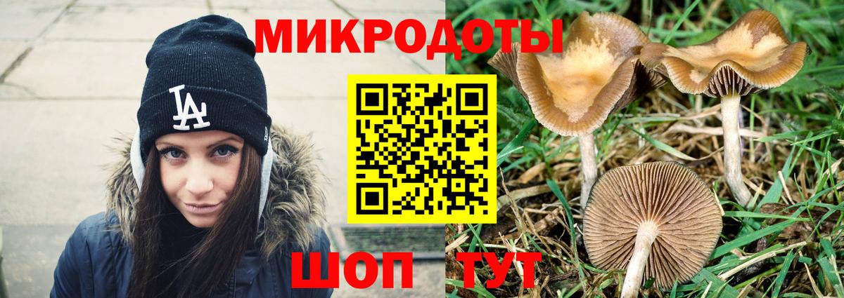 Котлас  Псилоцибиновые грибы GOLDEN TEACHER  Псилоцибиновые грибы Psilocybine cubensis  Вход с VPN 